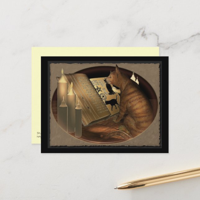 Studying Cat Lessons Postcard (Front/Back In Situ)