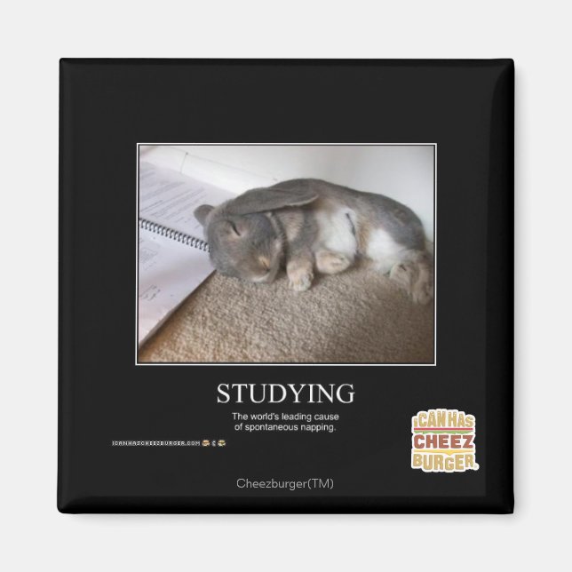 Studying Magnet (Front)