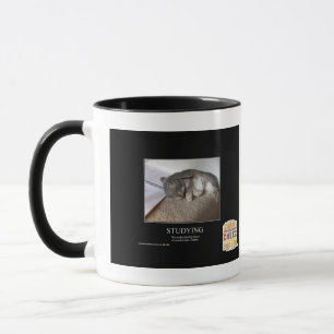Studying Mug