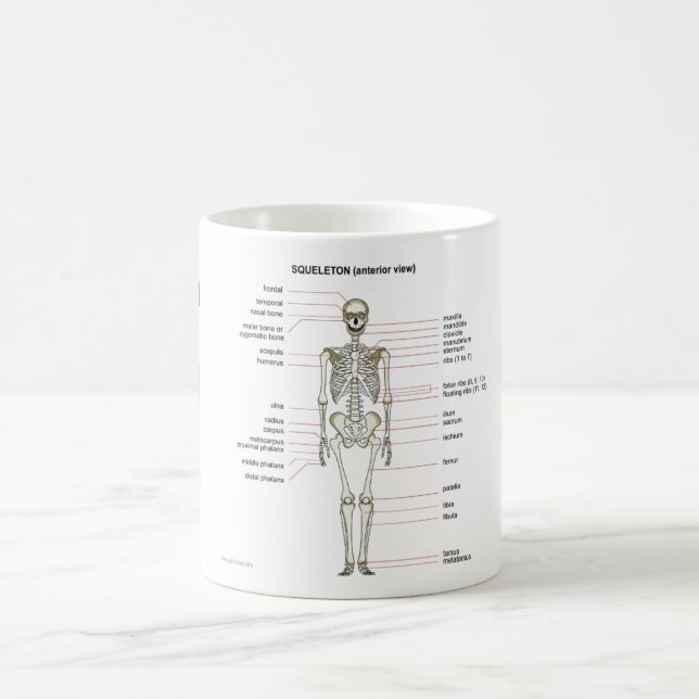 StudyThem Bones... Coffee Mug (Center)