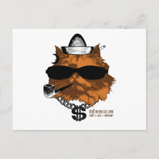 Stuff on my Cat - 2 kewl Postcard