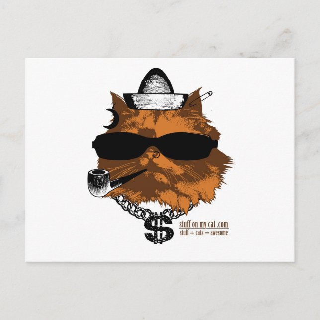 Stuff on my Cat - 2 kewl Postcard (Front)