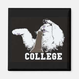 stuff on my cat - magnet