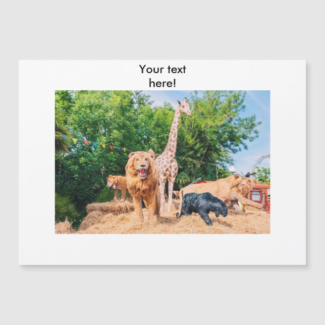 Stuffed animals (Front)