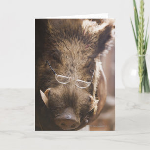 Stuffed Wild Boar Wearing Glasses Outside Card