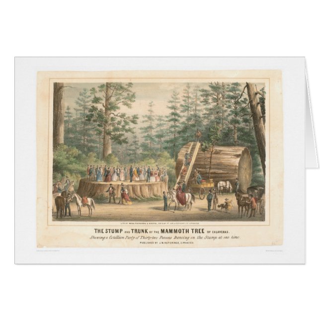 Stump of the Mammoth Tree of Calaveras (0977A) (Front Horizontal)