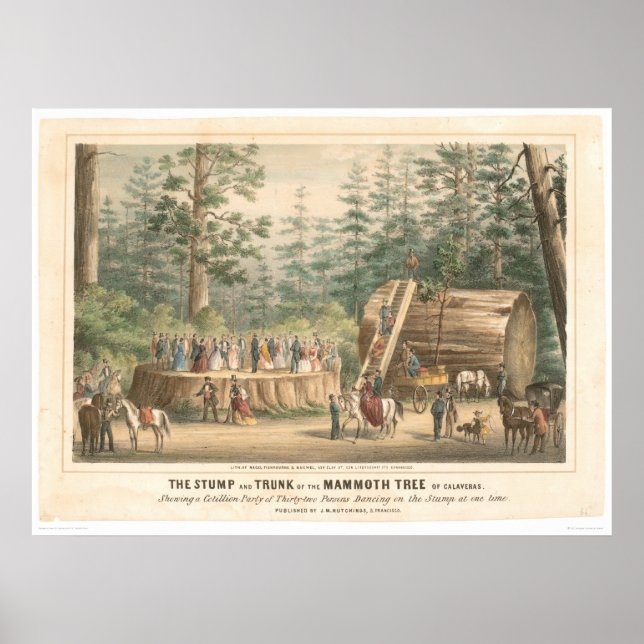 Stump of the Mammoth Tree of Calaveras (0977A) Poster (Front)