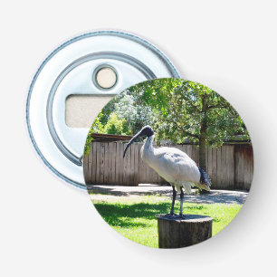 **"Stump Perch: The Bin Chicken's Resting Place"** Bottle Opener