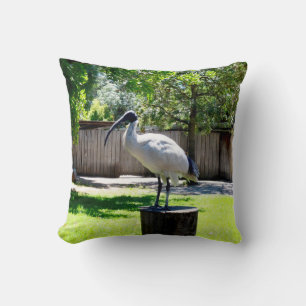 **"Stump Perch: The Bin Chicken's Resting Place"** Cushion