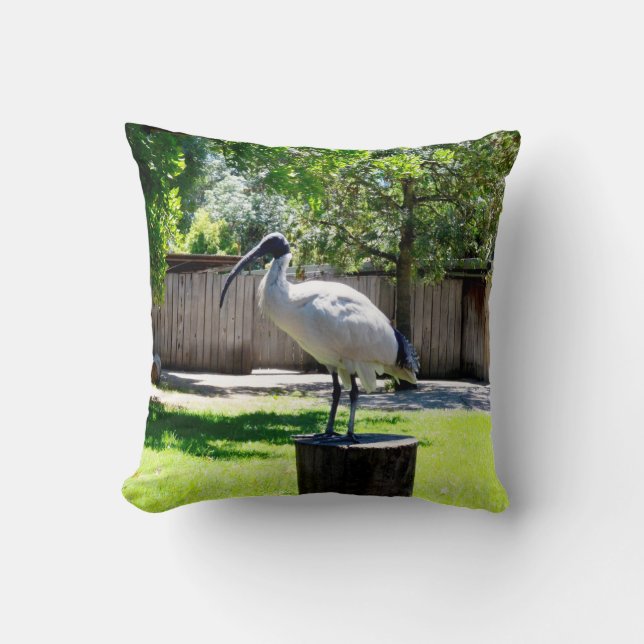 **"Stump Perch: The Bin Chicken's Resting Place"** Cushion (Front)