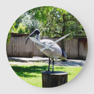 **"Stump Perch: The Bin Chicken's Resting Place"** Large Clock
