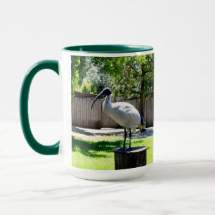 **"Stump Perch: The Bin Chicken's Resting Place"** Mug
