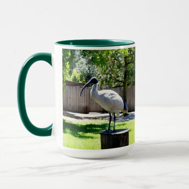 **"Stump Perch: The Bin Chicken's Resting Place"** Mug (Left)