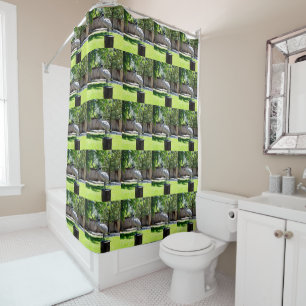 **"Stump Perch: The Bin Chicken's Resting Place"** Shower Curtain