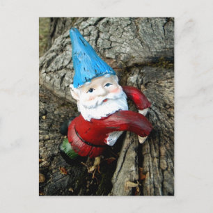 Stumped Gnome Postcard