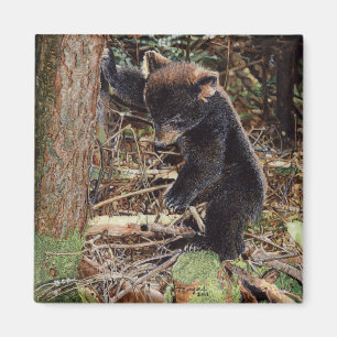 Stumped Magnet