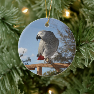 Stunning African Grey Parrot Ceramic Tree Decoration