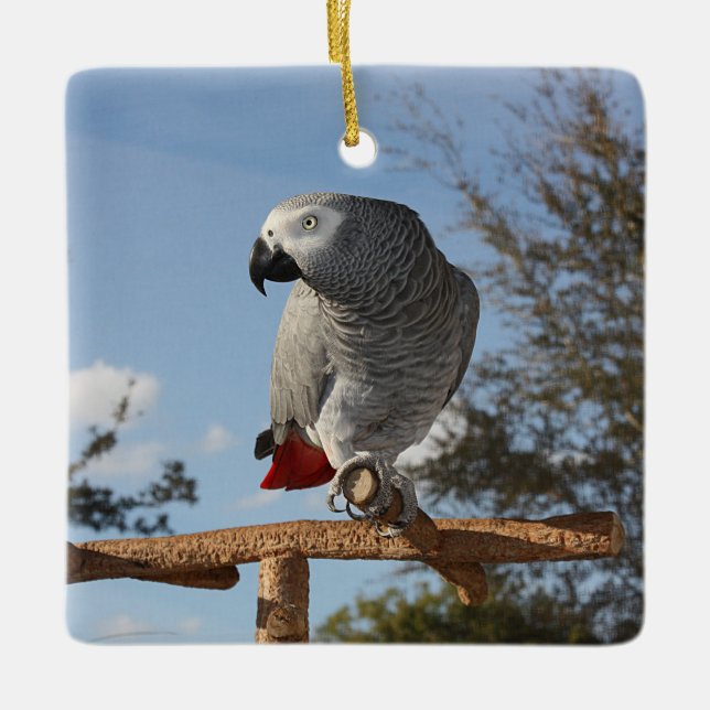 Stunning African Grey Parrot Ceramic Tree Decoration (Front)