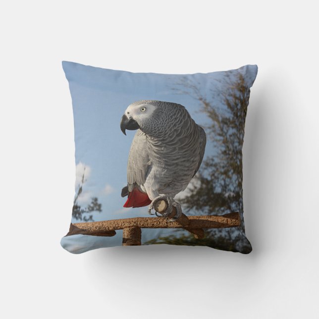 Stunning African Grey Parrot Cushion (Front)