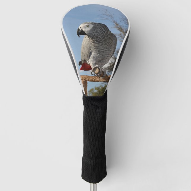 Stunning African Grey Parrot Golf Head Cover (Front)