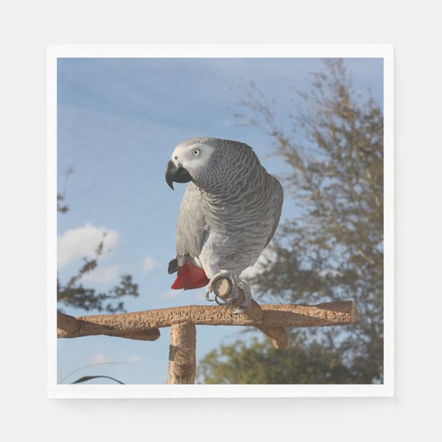 Stunning African Grey Parrot Napkin (Front)