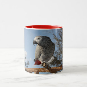 Stunning African Grey Parrot Two-Tone Coffee Mug