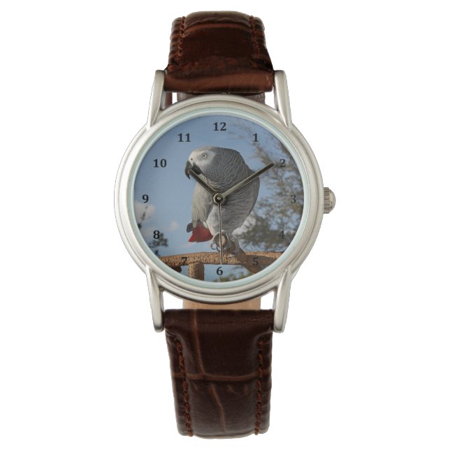 Stunning African Grey Parrot Watch (Front)