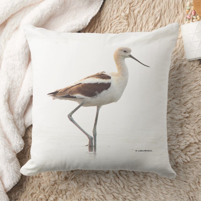 Stunning American Avocet Bird Strolling the Beach Cushion (Blanket)