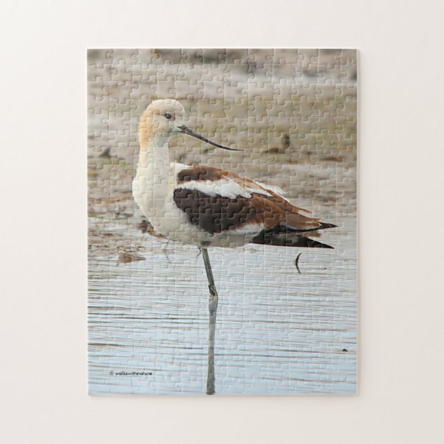 Stunning American Avocet Wading Bird at the Beach Jigsaw Puzzle (Vertical)