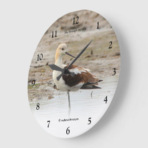Stunning American Avocet Wading Bird at the Beach Large Clock