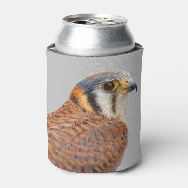 Stunning American Kestrel Sparrowhawk Falcon Can Cooler (Can Front)