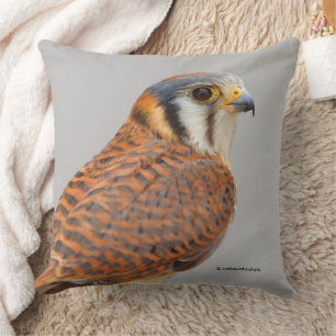 Stunning American Kestrel Sparrowhawk Falcon Cushion