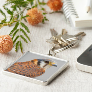 Stunning American Kestrel Sparrowhawk Falcon Key Ring