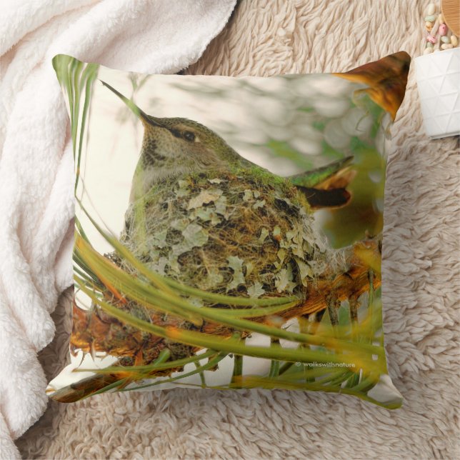 Stunning Anna's Hummingbird Mum on Nest Cushion (Blanket)