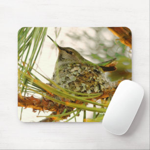Stunning Anna's Hummingbird Mum on Nest Mouse Pad