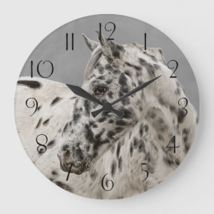 Stunning appaloosa gelding large clock
