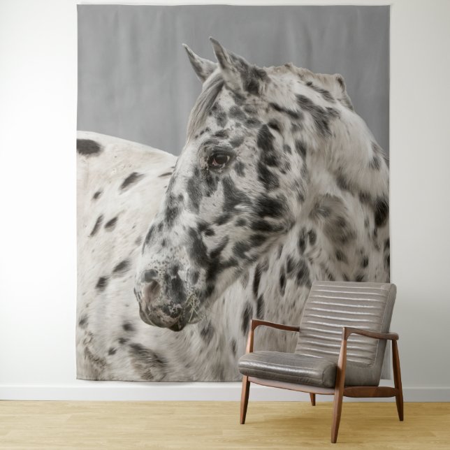 Stunning appaloosa gelding tapestry (In Situ)