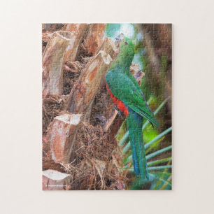 Stunning Australian King Parrot Climbing a Tree Jigsaw Puzzle