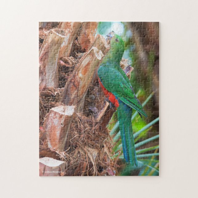 Stunning Australian King Parrot Climbing a Tree Jigsaw Puzzle (Vertical)