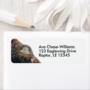 Stunning Bald Eagle Bird of Prey Does a Flyby Return Address Label