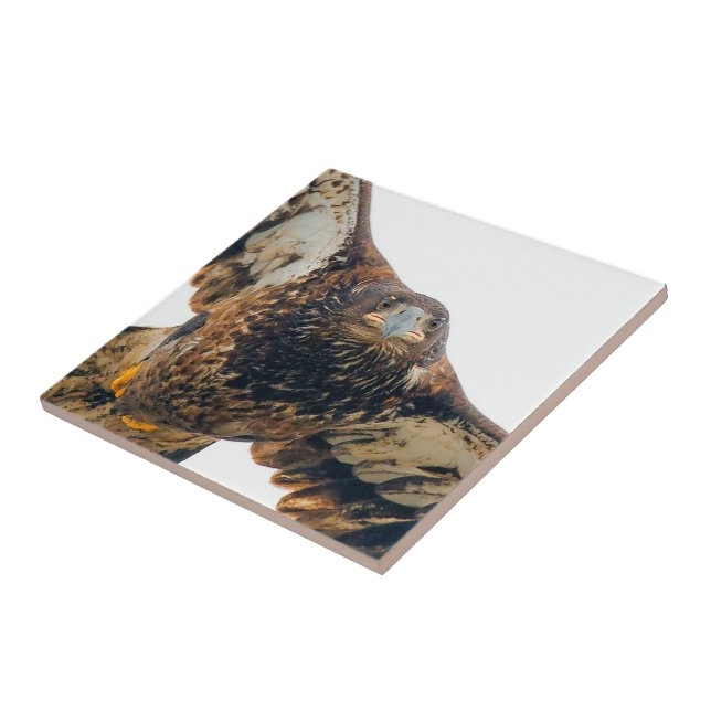 Stunning Bald Eagle Does a Flyover Ceramic Tile (Side)