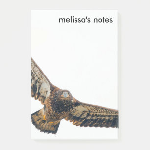 Stunning Bald Eagle Does a Flyover Post-it Notes