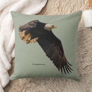 Stunning Bald Eagle in Flight Cushion