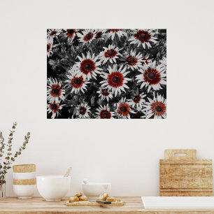 Stunning Black-Eyed Susans Poster