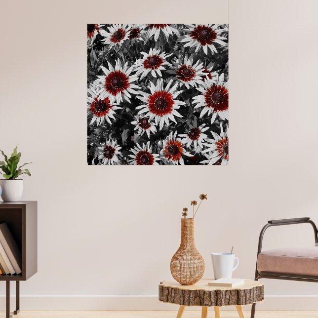 Stunning Black-Eyed Susans  Poster (Living Room 3)