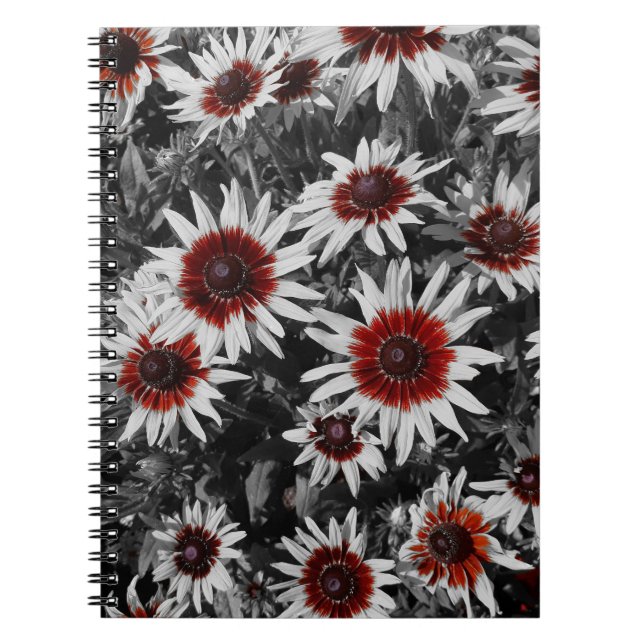 Stunning Black-Eyed Susans Spiral Notebook (Front)