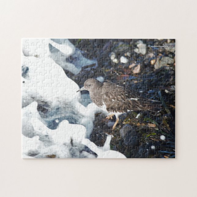 Stunning Black Turnstone Shorebird in the Surf Jigsaw Puzzle (Horizontal)