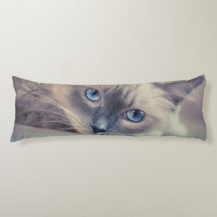 Stunning Blue Eyed Ragdoll Cat Body Cushion