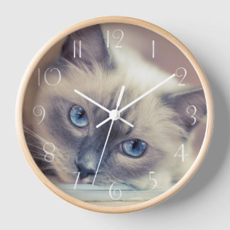 Stunning Blue Eyed Ragdoll Cat Clock