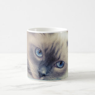 Stunning Blue Eyed Ragdoll Cat Coffee Mug